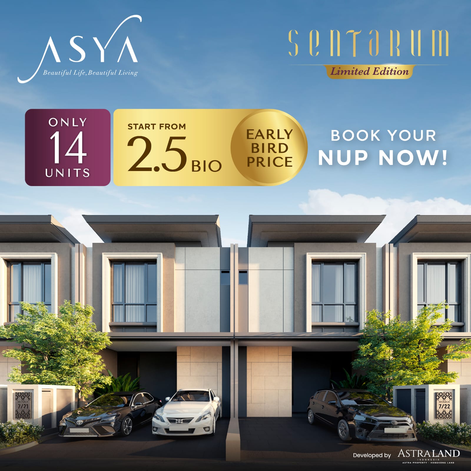 Asya Sentarum Limited Edition